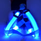 LightPaws LED Dog Harness