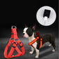 LightPaws LED Dog Harness