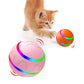 Smart Interactive 360 Pet Ball