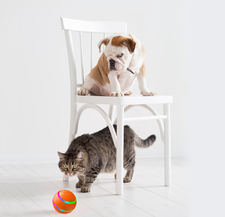 Smart Interactive 360 Pet Ball