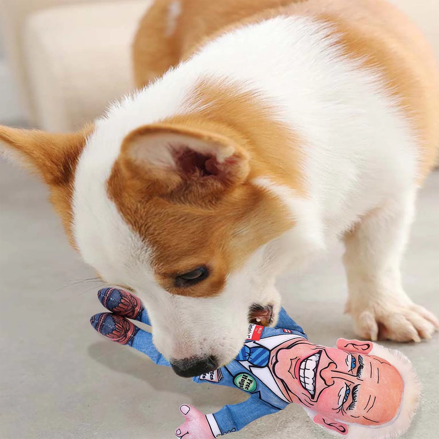 Election Year Joe Biden Chew Toy